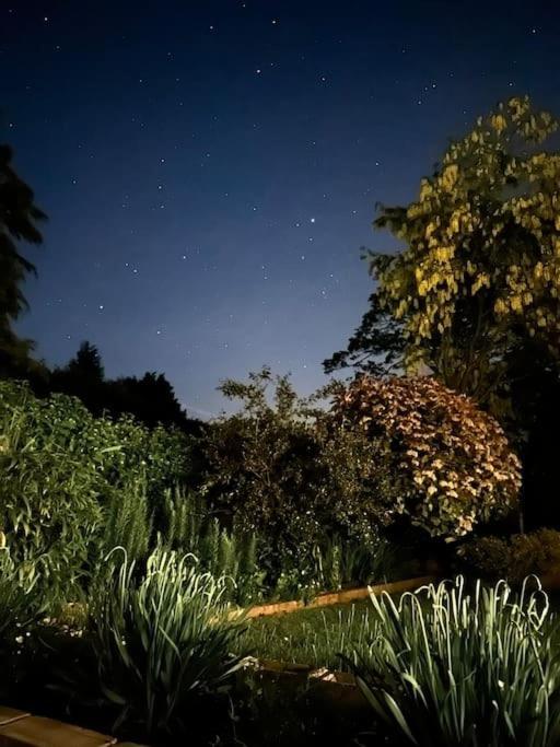 Linden Suite غورينغ المظهر الخارجي الصورة